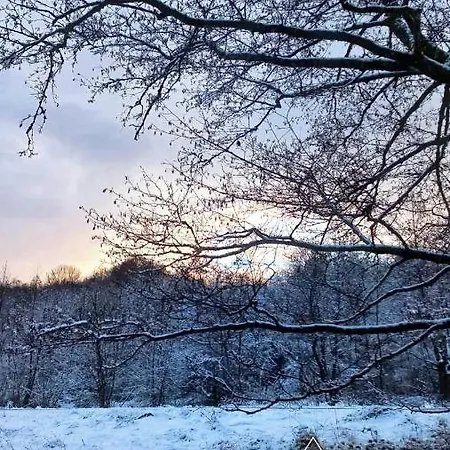 Садиба Лісковець Chata *